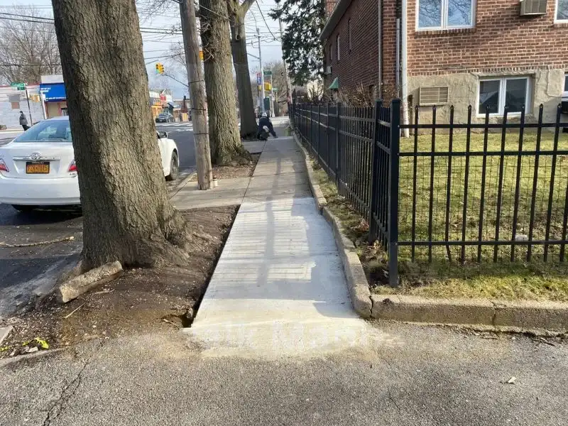 New concrete sidewalk installed between mature street trees and an iron fence